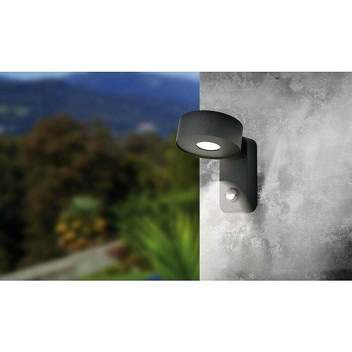 Eglo LED vanjska svjetiljka sa senzorom pokreta Palosco  (6 W, Boja kućišta: Crne boje, Topla bijela, IP44) | BAUHAUS