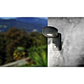 Eglo LED vanjska svjetiljka sa senzorom pokreta Palosco  (6 W, Boja kućišta: Crne boje, Topla bijela, IP44) | BAUHAUS