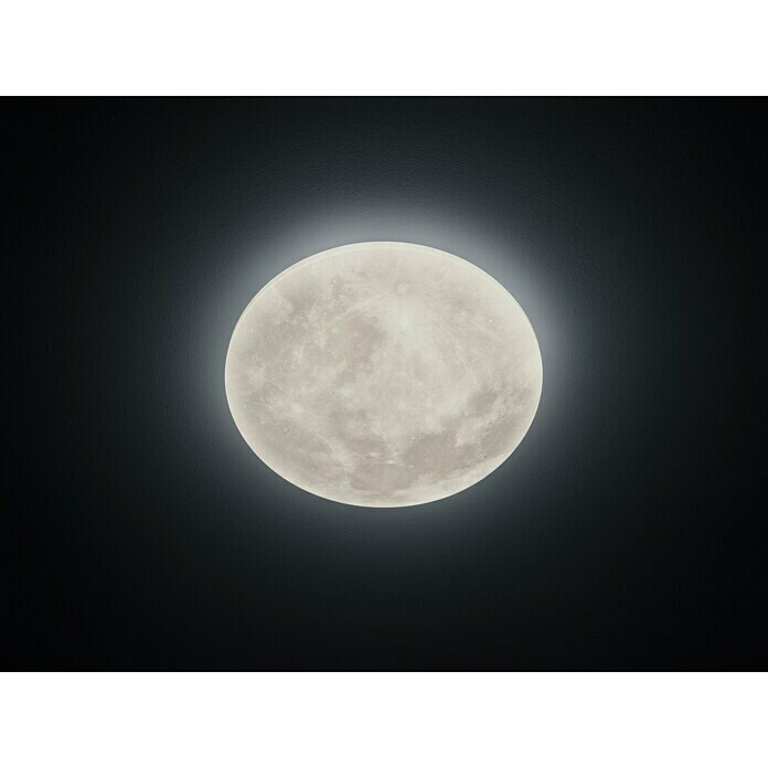 Trio Leuchten LED-Deckenleuchte rund Lunar (22 W, Grau, Ø x H: 40 x 10 cm)