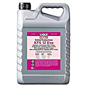 Liqui Moly Kühlerfrostschutz KFS 12 (5 l, Max. Frostbeständigkeit: -69 °C) | BAUHAUS