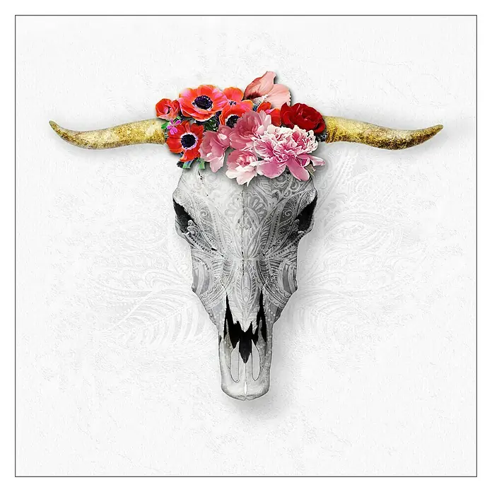 ProArt Leinwandbild - Grey Dead Head, B x H: 40 x 40 cm - Vorderansicht