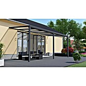 Terrassenüberdachung Light Edition (L x T: 600 x 300 cm, Polycarbonat, Anthrazitgrau, Klar)