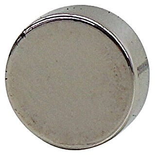 AS Creation Magnet (Okruglo, 10 x 4 mm)