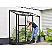 Vitavia Gewächshaus (0,69 x 0,93 x 1,82 m, Glasstärke: 3 mm, Anthrazit/Schwarz)