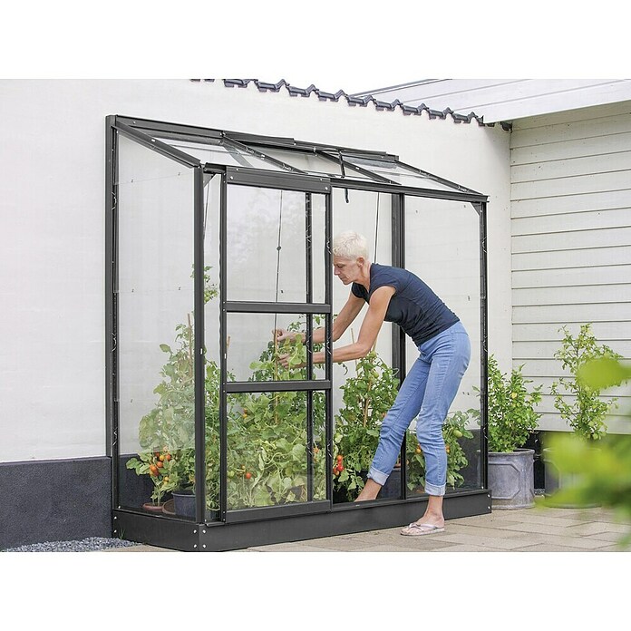 Vitavia Gewächshaus (0,69 x 0,93 x 1,82 m, Glasstärke: 3 mm, Anthrazit/Schwarz)