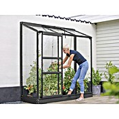 Vitavia Gewächshaus (0,69 x 0,93 x 1,82 m, Glasstärke: 3 mm, Anthrazit/Schwarz)