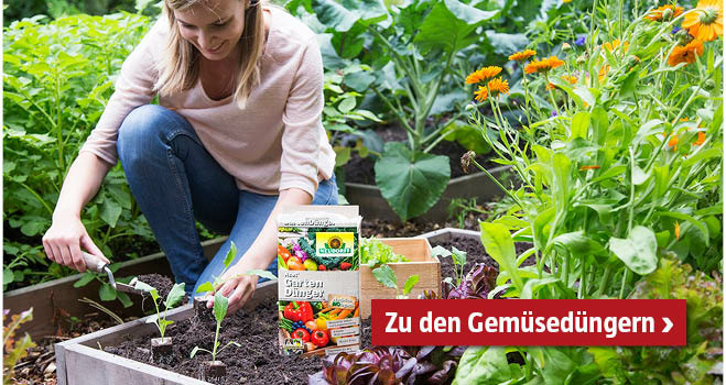 Gemüsedünger