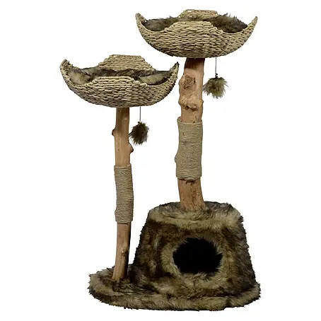 Dobar Kratzbaum Tony