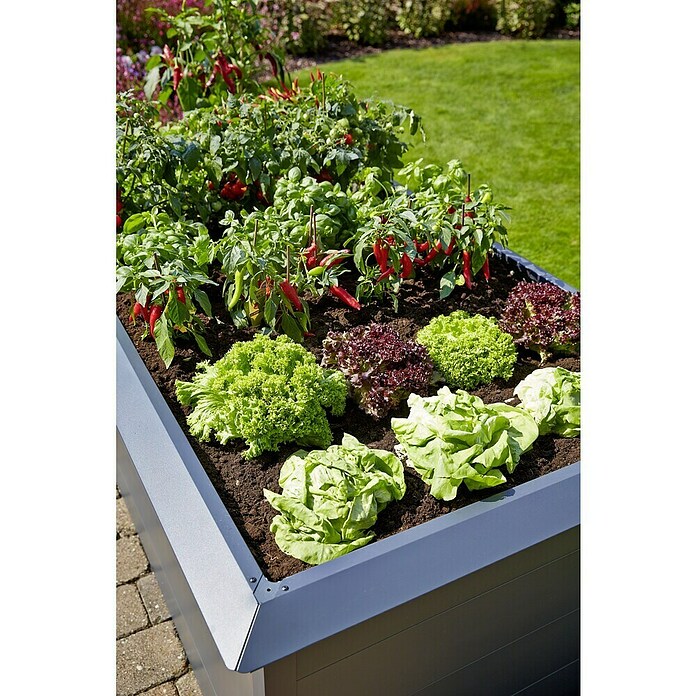 Gardol Hochbeet mit Schneckenkante (200 x 100 x 76 cm, Stahl, Anthrazit
