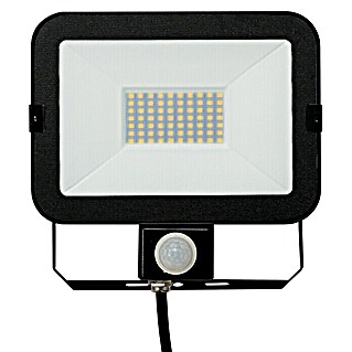 Alverlamp Proyector LED LQSEN con sensor (30 W, L x An x Al: 5 x 14,7 x 15 cm, Negro, Blanco neutro)