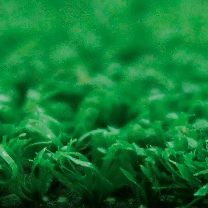 Césped artificial Fidji - 5 x 1 m, Altura del pelo: 7 mm, 60.480 puntadas/m² - Primer plano de césped simulado exuberante, que ofrece una superficie verde y realista para jardines y áreas de juego.