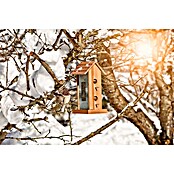 Windhager Vogelhaus Country (L x B x H: 17,5 x 19 x 38 cm, Massivholz, Braun)