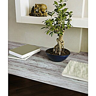 D-c-fix Plakfolie met houtlook (200 x 45 cm, Lichtgrijs, Zelfklevend)