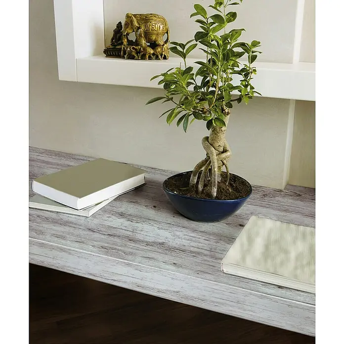 D-c-fix Holzoptikfolie Pino Aurelio - 200 x 67,5 cm, Hell, Selbstklebend - Das Bild zeigt einen Bonsai-Baum in einer blauen Schale auf einem Tisch neben Büchern, beleuchtet durch natürliches Licht.