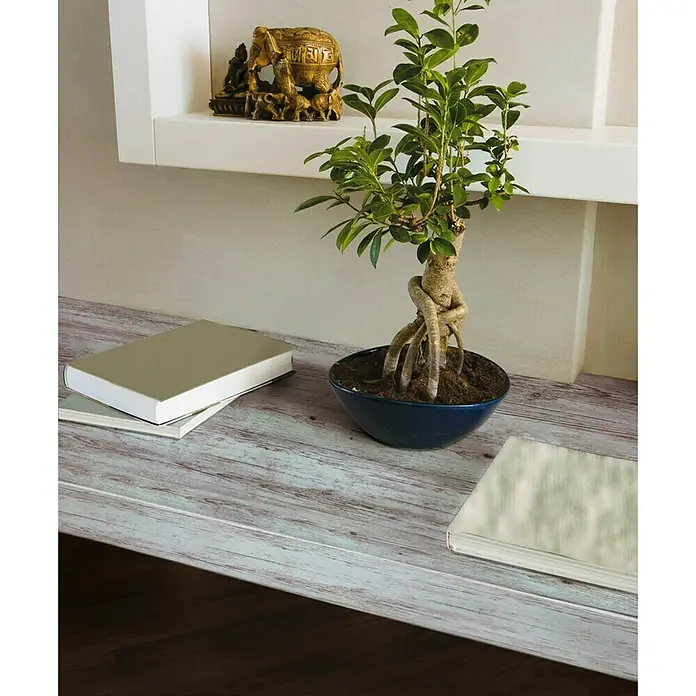 D-c-fix HolzoptikfolieL x B: 200 x 45 cm, Holz, Hellgrau, Selbstklebend - Das Bild zeigt einen Bonsai-Baum in einer blauen Schale auf einem Tisch neben Büchern, beleuchtet durch natürliches Licht.
