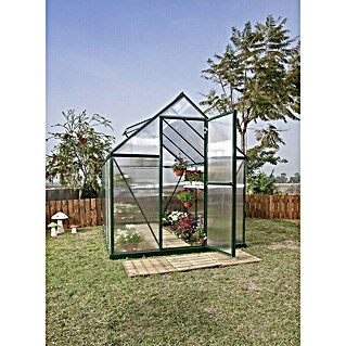 Palram – Canopia Gewächshaus Mythos 6x8 (Außenmaß inkl. Dachüberstand (B x T): 185 x 247 cm, 4 mm, Grün/Transparent)