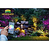 Heissner LED-Spot (4 W, Warmweiß, Schwarz)