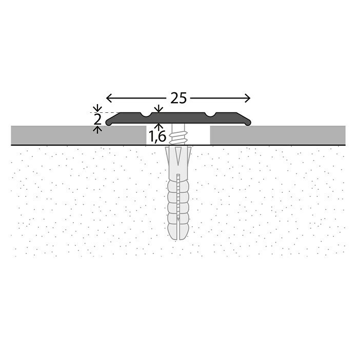 LOGOCLIC Übergangsprofil 133Edelstahl matt, 1 m x 25 mm x 2 mm, Montageart: Schrauben Detail Shot