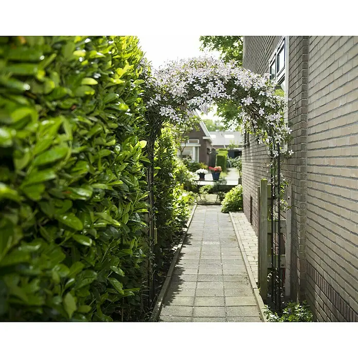 Nature Rosenbogen - 114 x 38 x 229 cm, Schwarz - Ein blühender Rosenbogen über einem gepflasterten Gartenweg, der durch eine grüne Hecke und eine Ziegelmauer führt. Romantisches Gartendesign.