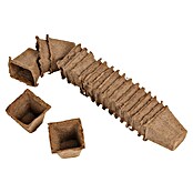 Floraworld Classic Anzuchttopf Set (20 Stk., 6 x 6 x 5,5 cm, Natur) | BAUHAUS