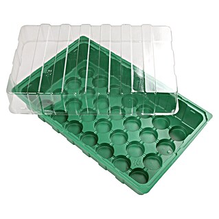 Floraworld Sobni plastenik (D x Š x V: 35,5 x 22 x 12,5 cm, Zelene boje, S 28 udubljenja)