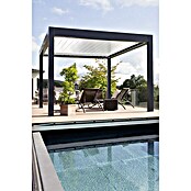 Wismar-NFI Pergola Bio (L x B: 480 x 359,3 cm, Weiß, Grau)