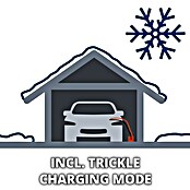 Einhell Energijska postaja CE-BC2M  (12 V, Vhodna napetost: 220 V - 240 V) | 2766 - Ladegeräte/Stationen/Starthilfe | BDDD - Auto-Werkstatt | BDD - Autozubehör | BD - Autozubehör | B - Werkz/Masch/Maschzubeh/Auto | BAUHAUS