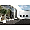 WPC-Terrassendiele (Dunkelbraun, 200 x 13,5 x 2,1 cm)