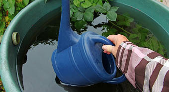Wasser aus der Regentonne zur Gartenbewässerung