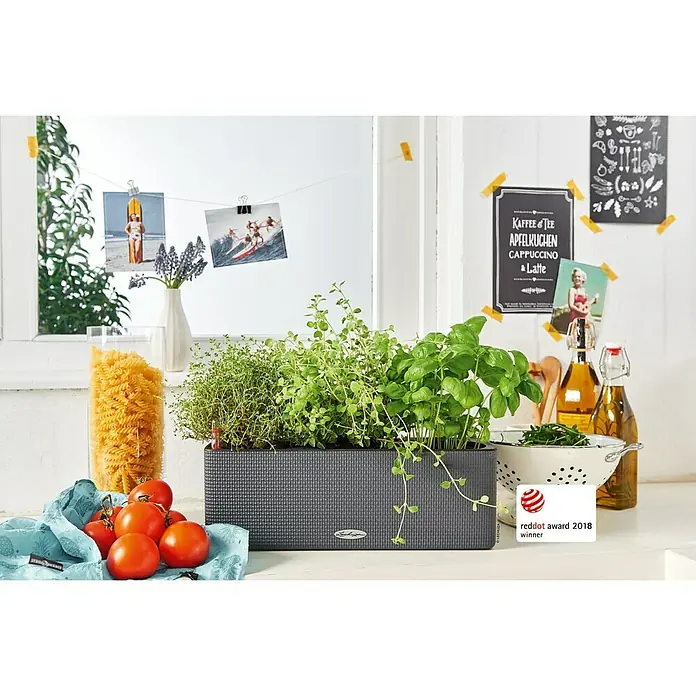 Lechuza Color Balkonkasten Cube Triple - Max. Außenlänge: 40 cm, Granit - Produktaufnahme eines grauen Pflanzkastens mit Kräutern, umgeben von Küchenutensilien, der den Red Dot Award 2018 gewonnen hat.
