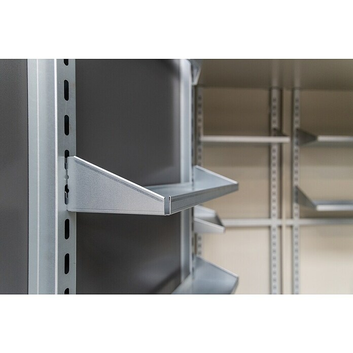 Telluria Regal Giarmadio Set S (1 Stk., Passend für: Telluria Gerätehaus Classico 3024, L x B: 51 x 15 cm) | BAUHAUS