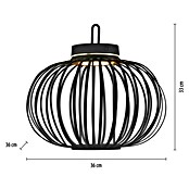 Just Light LED-Akku-Pendelleuchte Akuba (1,5 W, Warmweiß, Durchmesser: 36 cm) | BAUHAUS