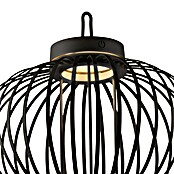 Just Light LED-Akku-Pendelleuchte Akuba (1,5 W, Warmweiß, Durchmesser: 36 cm) | BAUHAUS