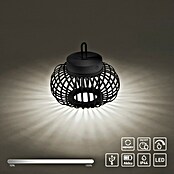 Just Light LED-Akku-Pendelleuchte Akuba (1,5 W, Warmweiß, Durchmesser: 25 cm) | BAUHAUS