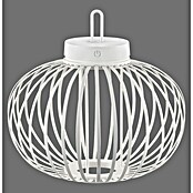 Just Light LED-Akku-Pendelleuchte Akuba (1,5 W, Warmweiß, Durchmesser: 36 cm) | BAUHAUS