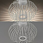 Just Light LED-Akku-Pendelleuchte Akuba (1,5 W, Warmweiß, Durchmesser: 46 cm) | BAUHAUS