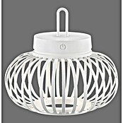 Just Light LED-Akku-Pendelleuchte Akuba (1,5 W, Warmweiß, Durchmesser: 25 cm) | BAUHAUS