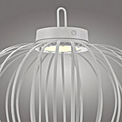 Just Light LED-Akku-Pendelleuchte Akuba (1,5 W, Warmweiß, Durchmesser: 46 cm) | BAUHAUS