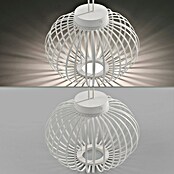 Just Light LED-Akku-Pendelleuchte Akuba (1,5 W, Warmweiß, Durchmesser: 36 cm) | BAUHAUS