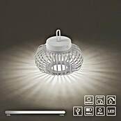 Just Light LED-Akku-Pendelleuchte Akuba (1,5 W, Warmweiß, Durchmesser: 25 cm) | BAUHAUS