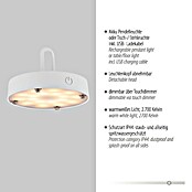 Just Light LED-Akku-Pendelleuchte Akuba (1,5 W, Warmweiß, Durchmesser: 46 cm) | BAUHAUS