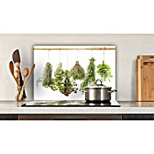 CUCINE Küchenrückwand (Dried Herbs, 60 x 40 cm, Stärke: 6 mm, Einscheibensicherheitsglas (ESG))
