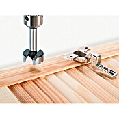 Wolfcraft Broca Forstner (Diámetro vástago: 10 mm)