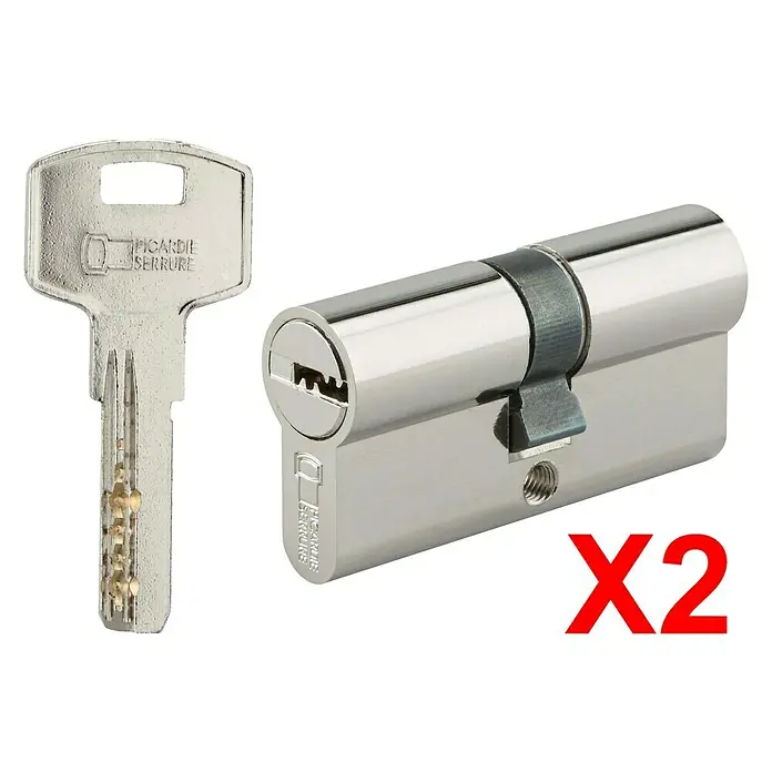 Cilindro de perfil Profi - Longitud con cilindro de perfil: 30/30 mm, Número de llaves: 3 ud., 2 ud. - Esta imagen muestra un bombín Picardie Serrures con una llave, diseñado para mayor seguridad y protección.