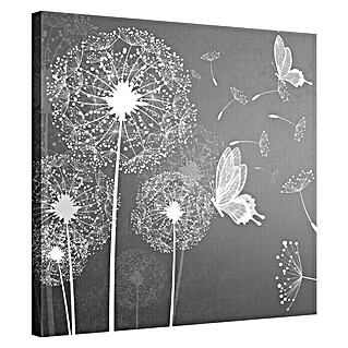 Leinwandbild (Pusteblume & Schmetterling, 80 x 80 cm)