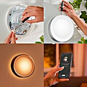 Philips Hue Led-wandlamp voor buiten (1 lampen, 15 W, Lichtkleur: RGBW, IP44, Zilver)