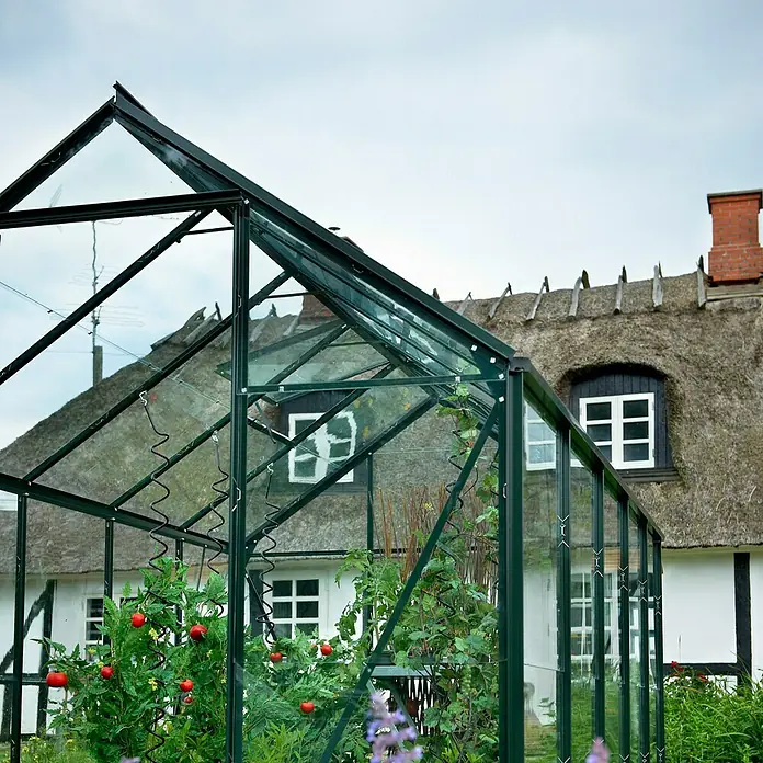 Halls Gewächshaus Popular 106 - Außenmaß inkl. Dachüberstand (B x T): 193 x 319 cm, Material Seitenwand: Glas, 3 mm, Grün - Ein Gewächshaus aus Glas und Metall steht im Garten und beherbergt Tomatenpflanzen. Im Hintergrund befindet sich ein Haus mit Strohdach.