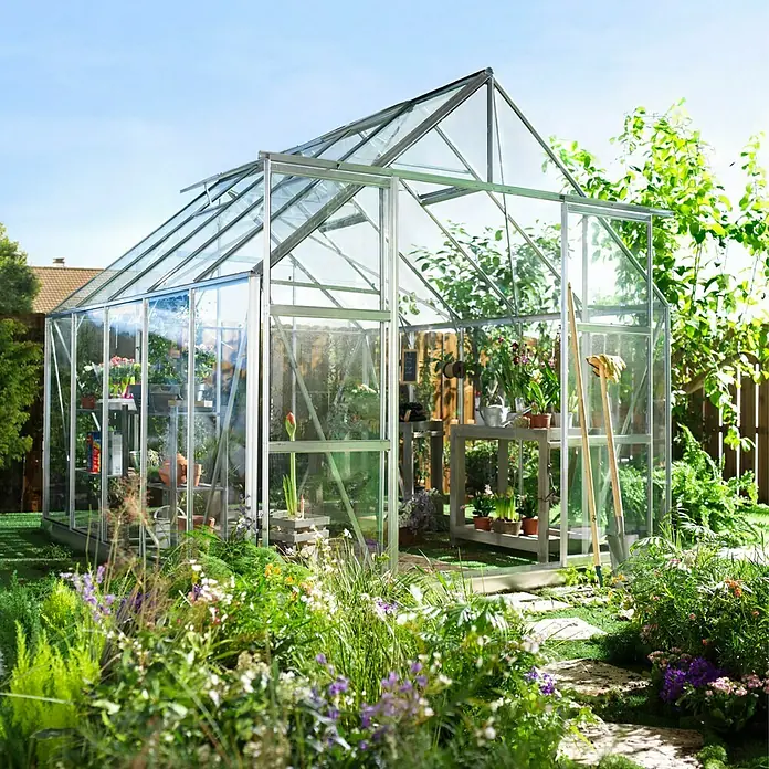 Halls Gewächshaus Magnum 108 - Außenmaß inkl. Dachüberstand (B x T): 257 x 322 cm, 3 mm, Alu, Sicherheitsglas - Ein geräumiges Gewächshaus mit Pflanzenregalen, umgeben von einem blühenden Garten unter blauem Himmel.