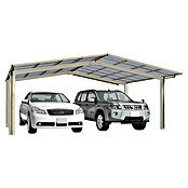 Ximax Carport LINEA M 60 (4,9 x 5,4 m, Einfahrtshöhe: 2,2 m, Edelstahloptik, Schneelast: 75 kg/m²)
