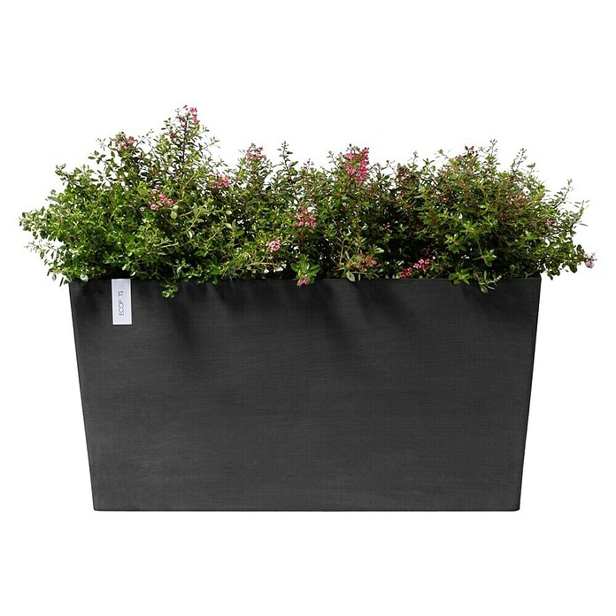 Ecopots Pflanzkasten Paris (Außenmaß (L x B x H): 100,5 x 39,6 x 51,8 cm, Kunststoff, Dunkelgrau, Ausstattung Pflanzgefäß: Rollen) | BAUHAUS